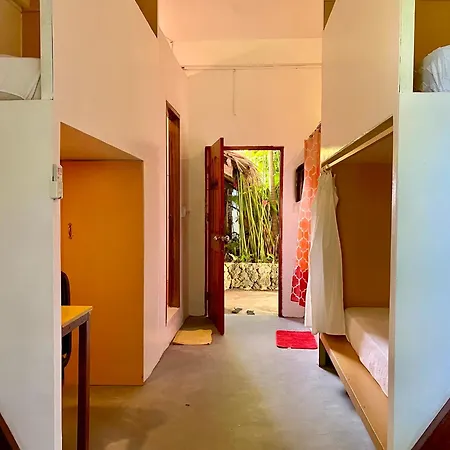 Lexias Hostel And Workspace - Siargao-2